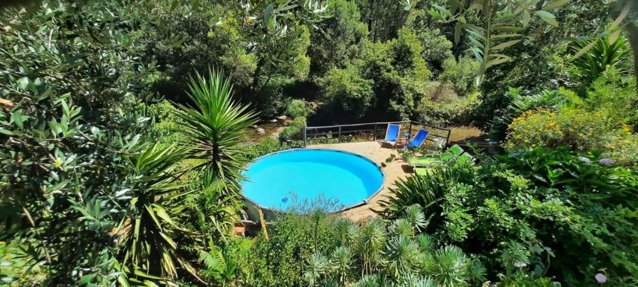 Casa Ribeira Apartment Coentral Das Barreiras Екстериор снимка